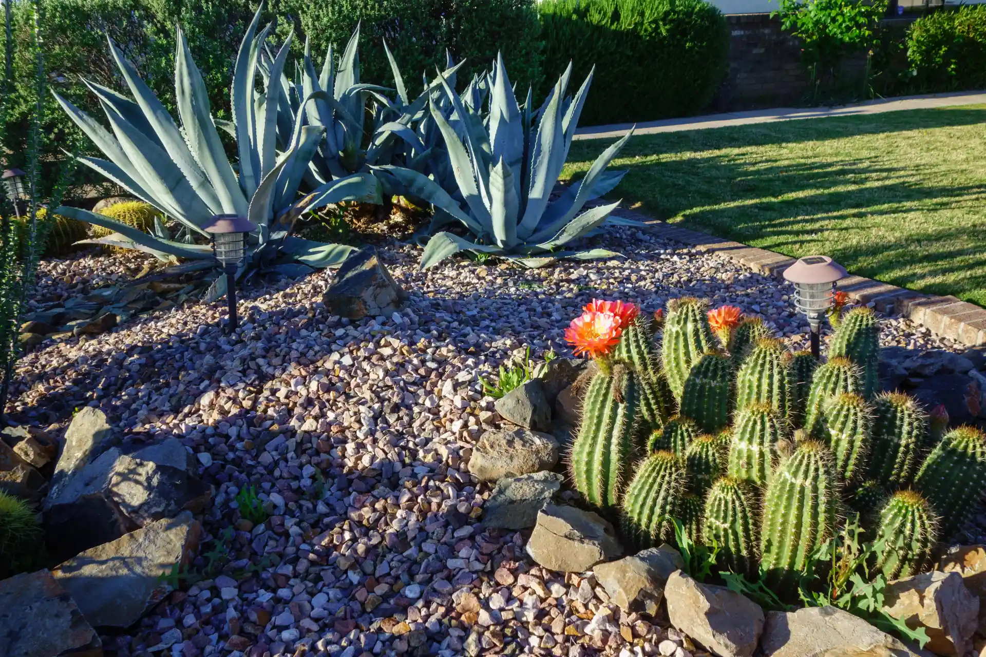 Xeriscaping